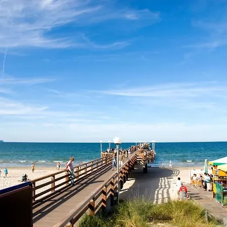 Stranddistel 3 6 Strandnah Lägenhet