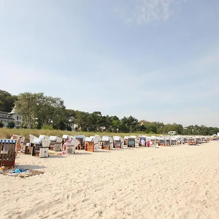 Stranddistel 3 6 Strandnah *