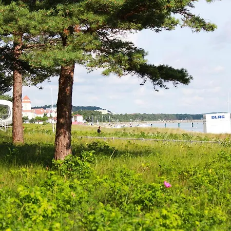 Apartment Stranddistel 3 6 Strandnah Binz